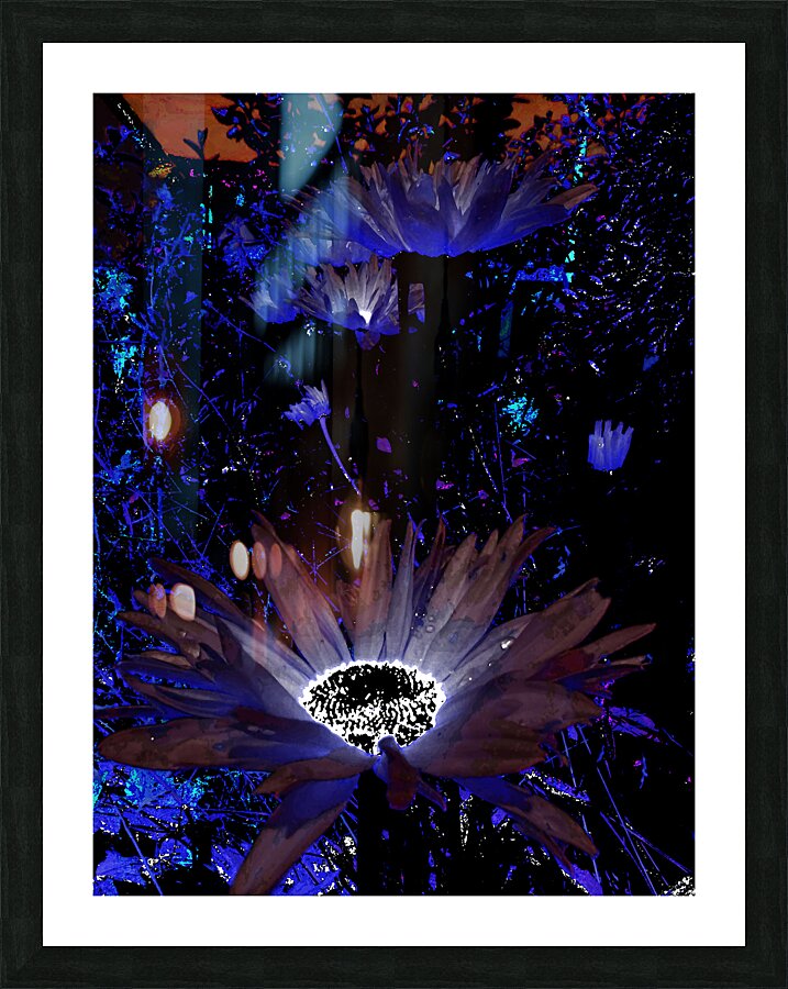 Abstract Vivid Cool Rocking Daises Picture Frame print