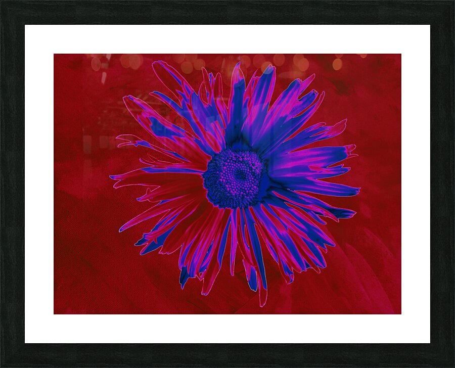 Abstract Neon Daisy Picture Frame print