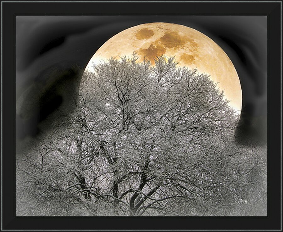 OAK MOON Holt RezN888  Framed Print Print