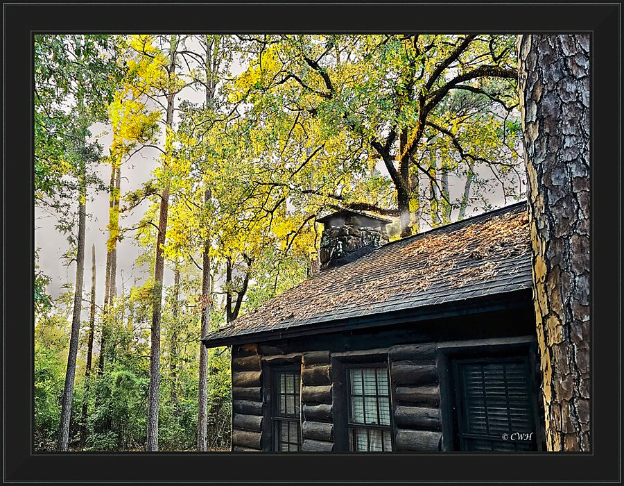 RESPITE CABIN_Holt_RezN888  Framed Print Print