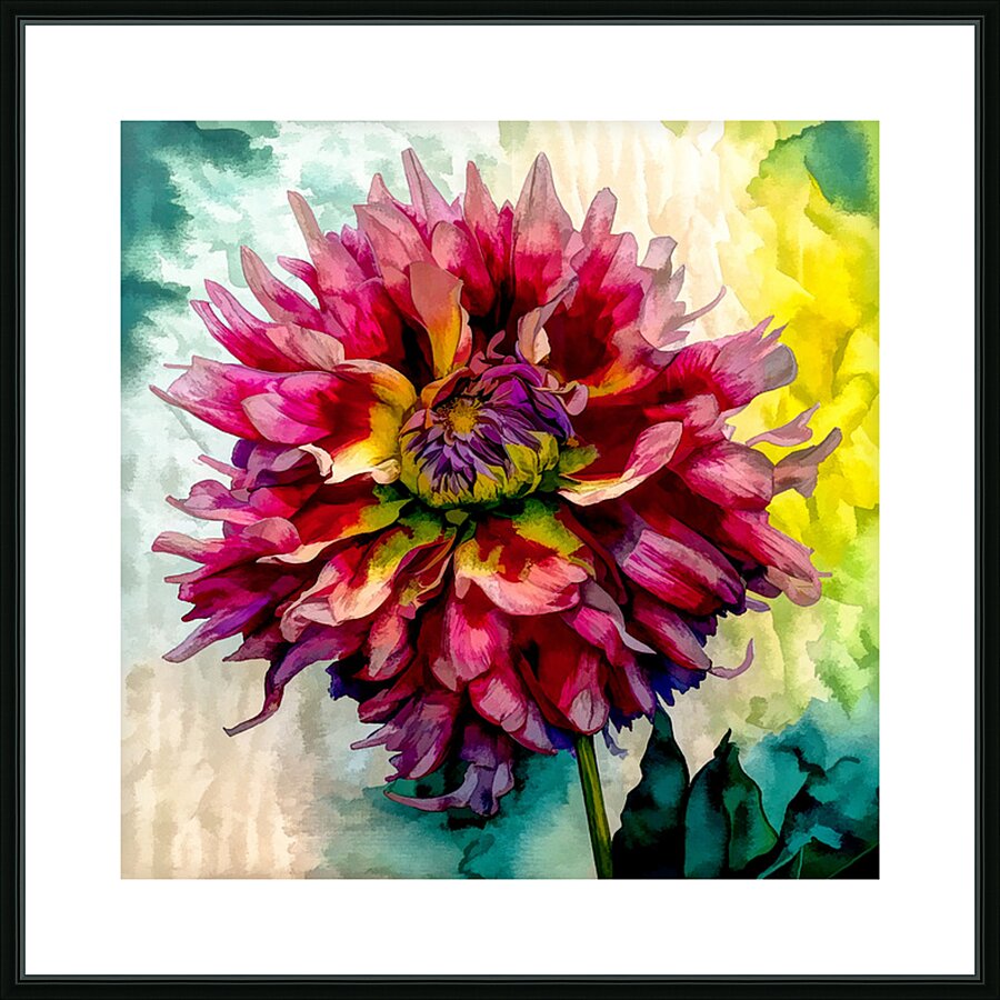 Dreaming of Dahlias Picture Frame print