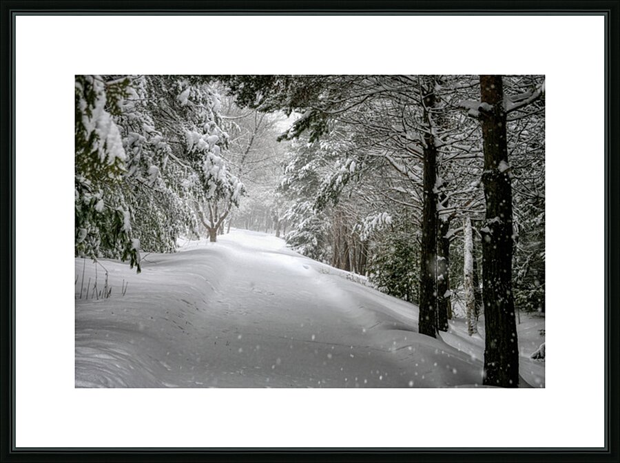 Your Turn to Shovel the Driveway Picture Frame print