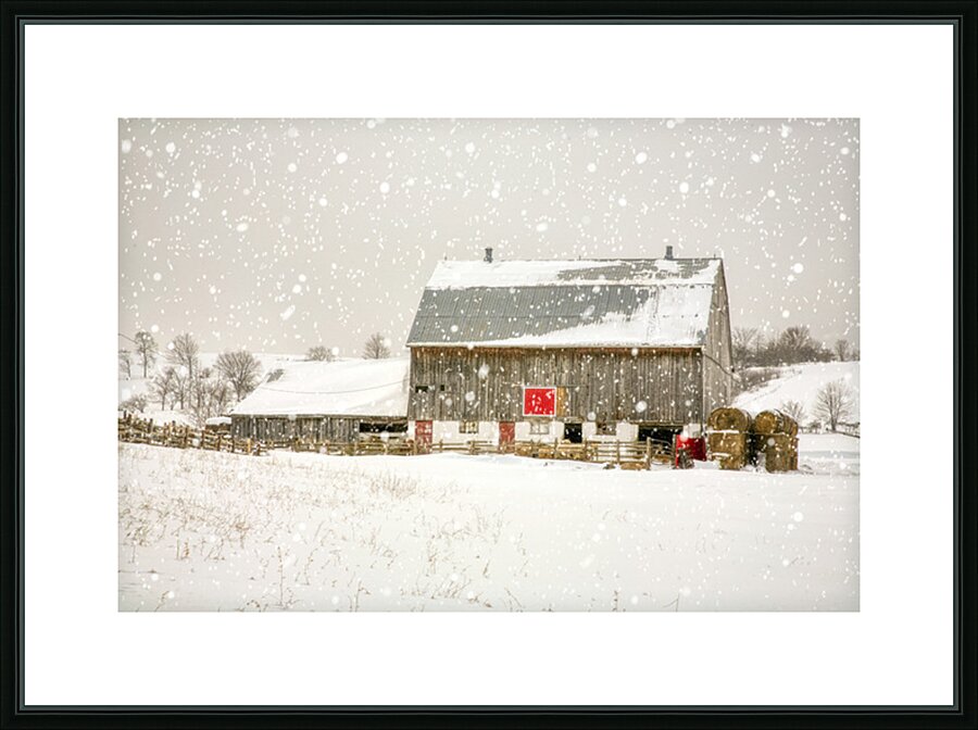 little red square Picture Frame print