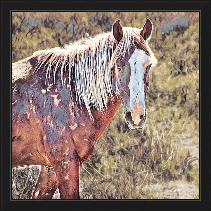 WARHORSE_Holt_RezN888  Framed Print Print