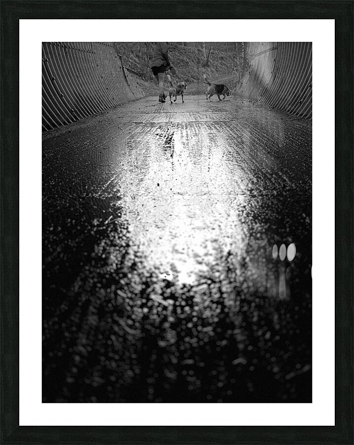 Everyday Lifes Moments- Dog Walking Two Picture Frame print