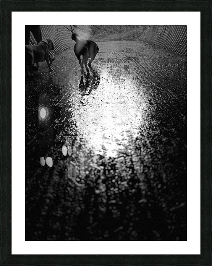 Everyday Lifes Moments- Dog Walking Picture Frame print