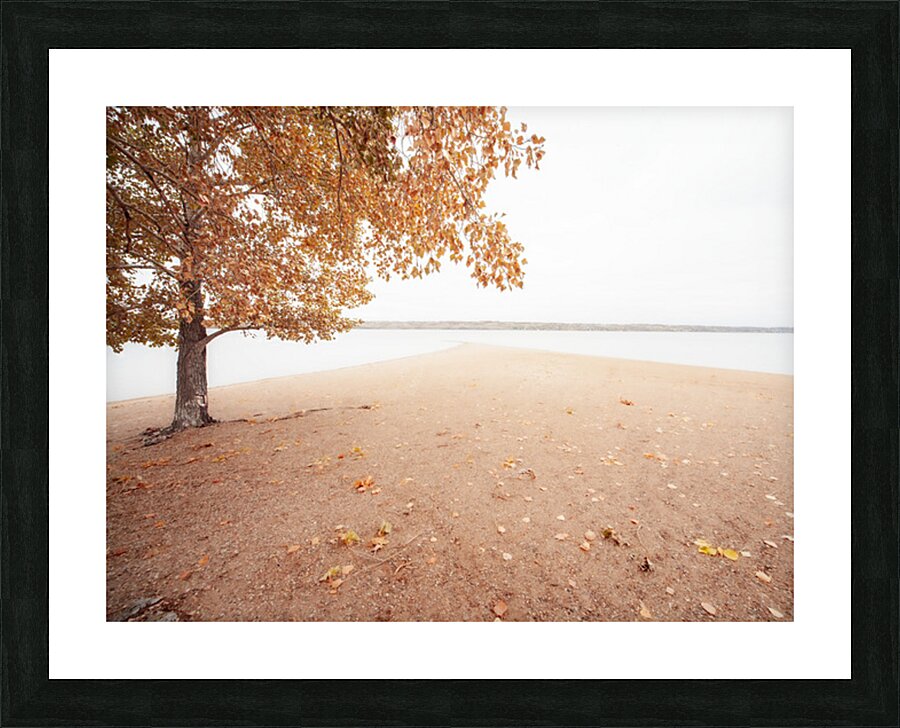 Autumn Landscape 1 Picture Frame print