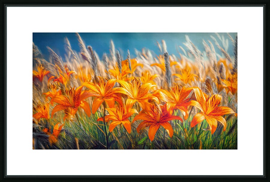 Harmless tiger lillies Picture Frame print