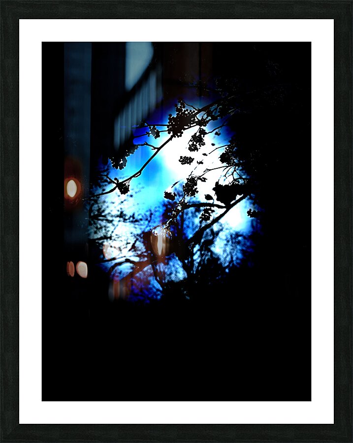 Abstract Berries  Picture Frame print