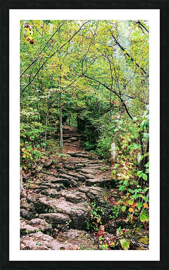 RockyTrail  Framed Print Print