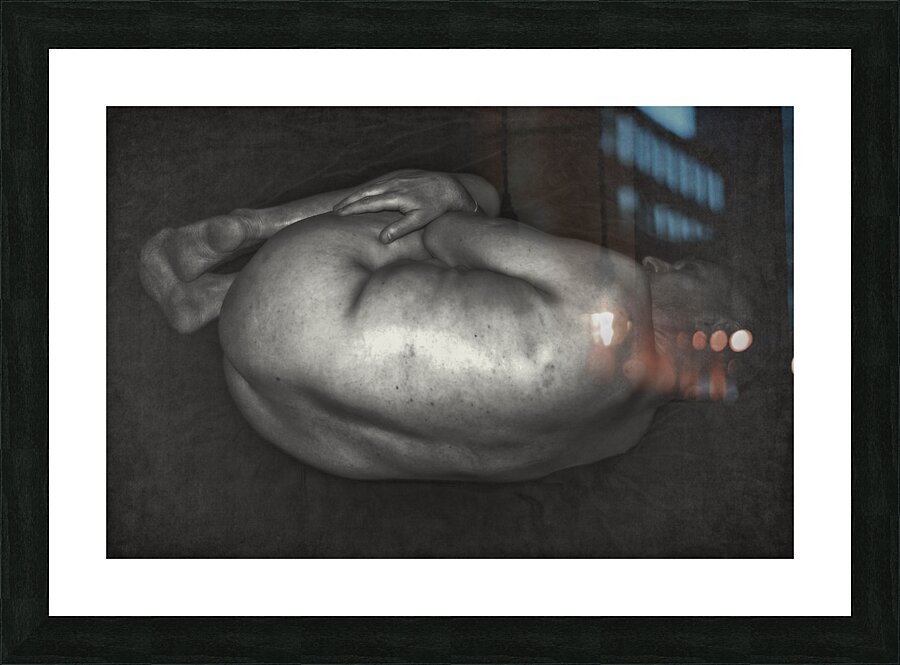  Fine Art print