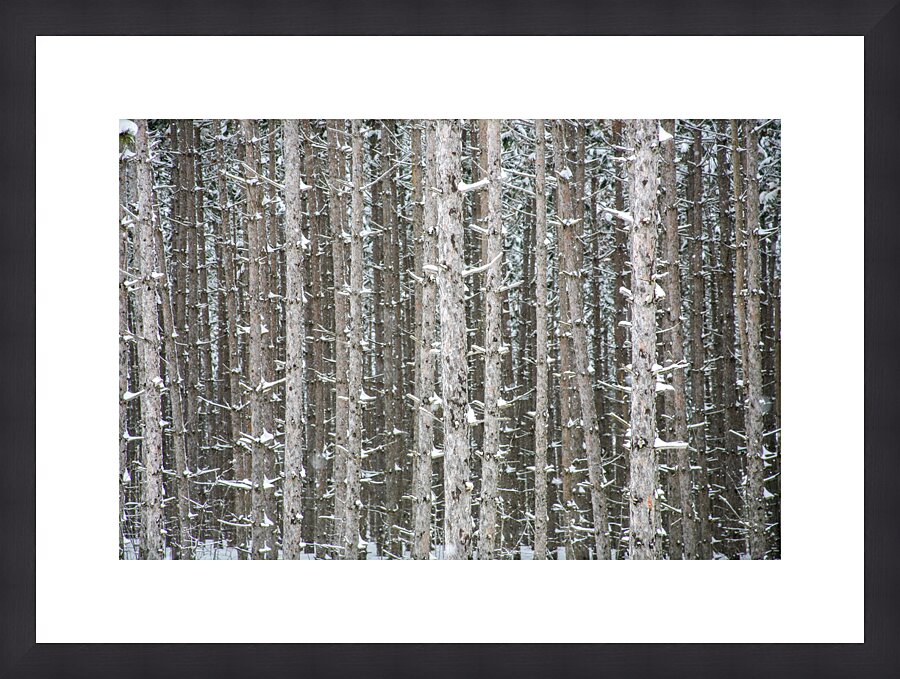 PRICKLY TOGETHERNESS Picture Frame print