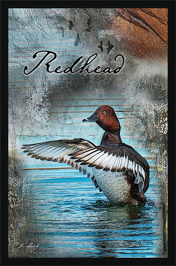 Redhead Picture Frame print