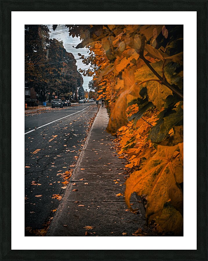 Street scene  Picture Frame print
