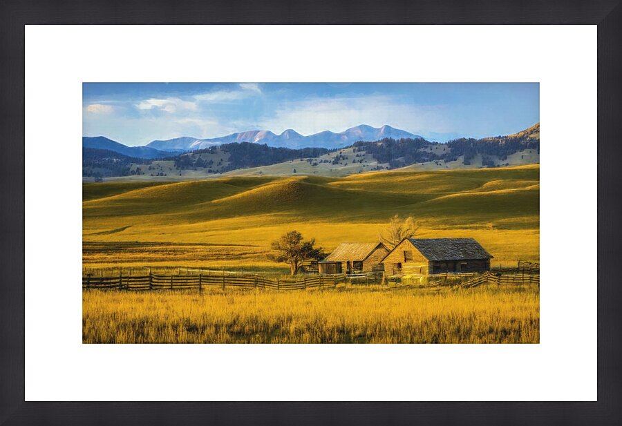 MONTANA VALLEY AND FOOTHILLS GRASSLANDS Picture Frame print