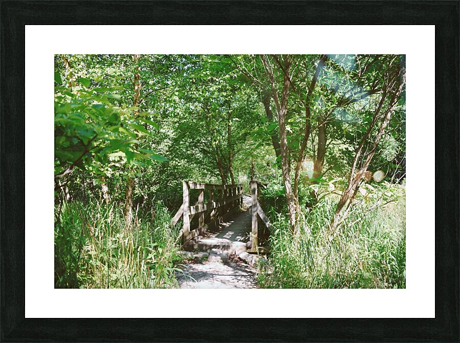 Trail Bridge - 9 Mile Run Picture Frame print