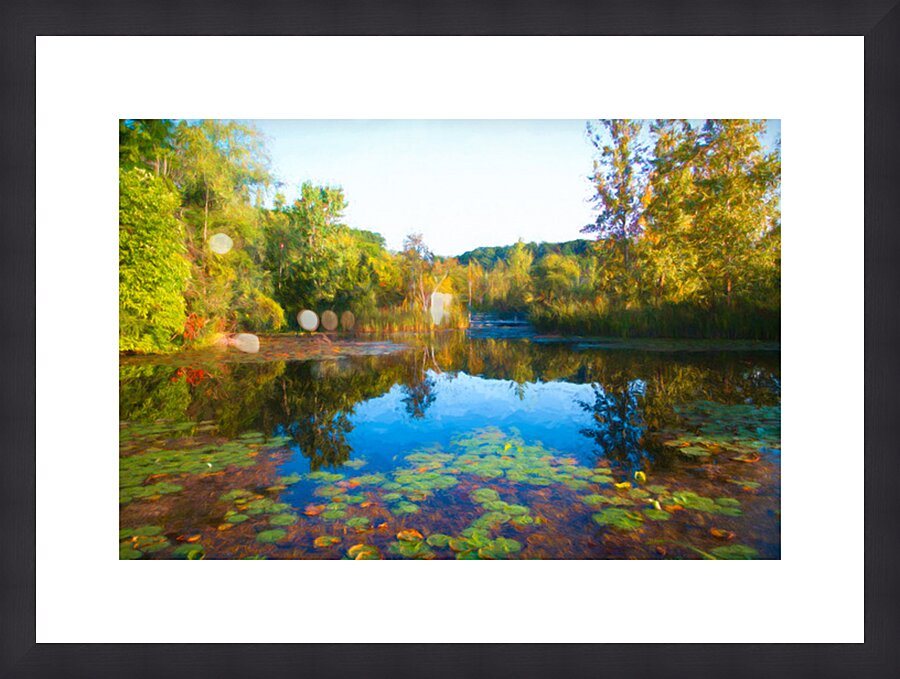 LILY POND AT THE BRICKWORKS Picture Frame print