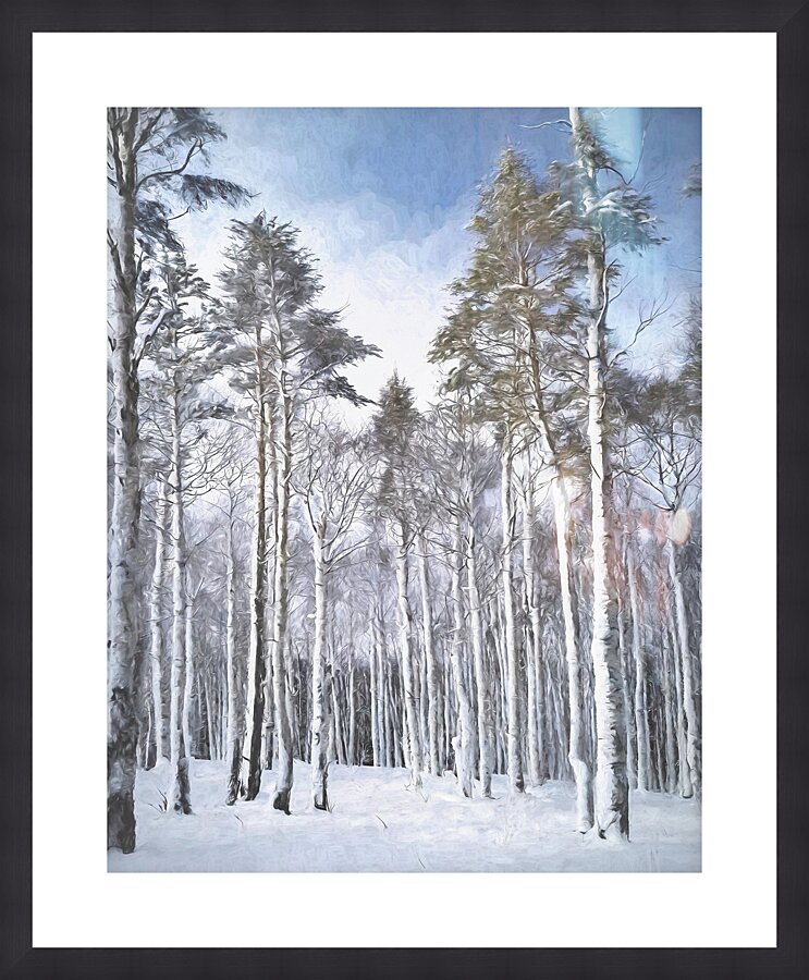 TALL PINES REACHING FOR THE SKY Picture Frame print