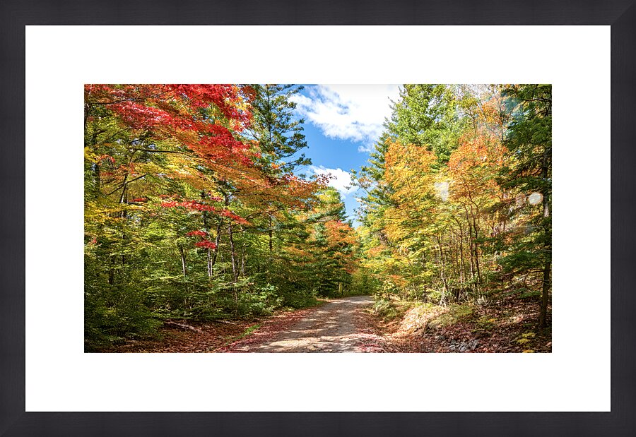 NORTHERN ONTARIO IN THE FALL Picture Frame print