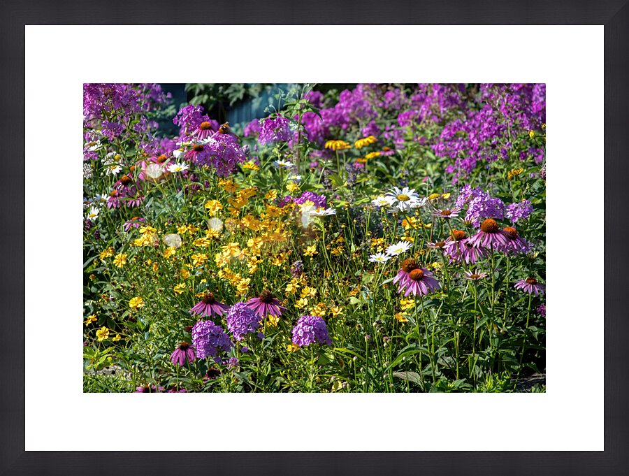Garden Lost to a Monster Home Picture Frame print