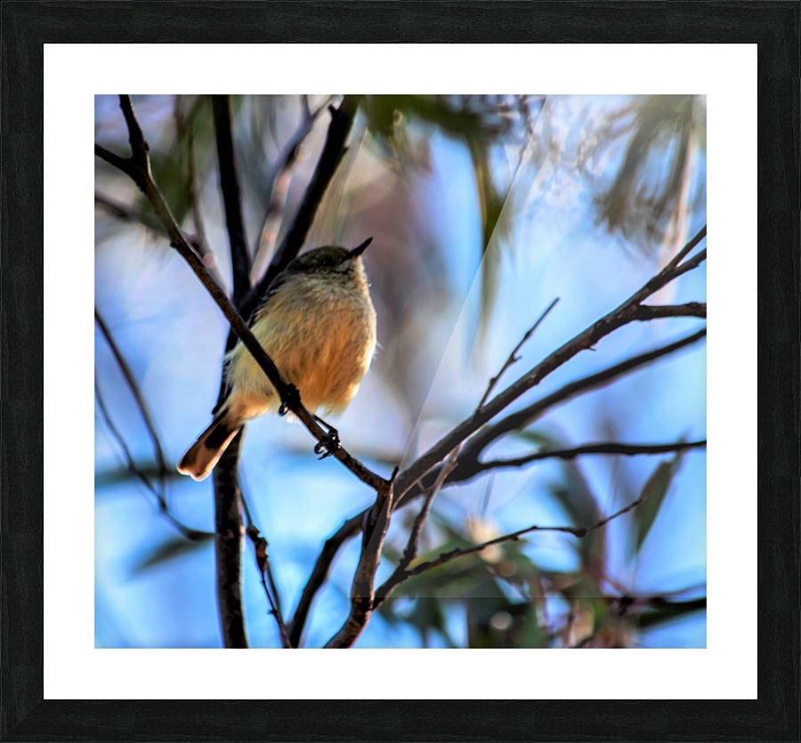  Fine Art print