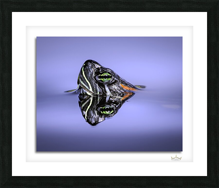 Taking a Deep Breath Picture Frame print