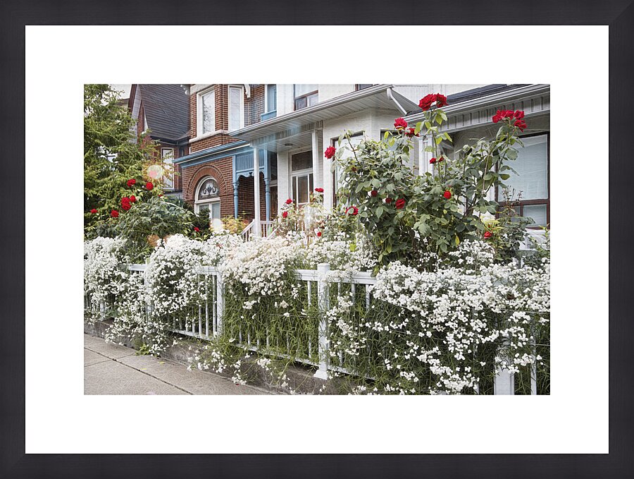 Little Italy Pride of Ownership Picture Frame print