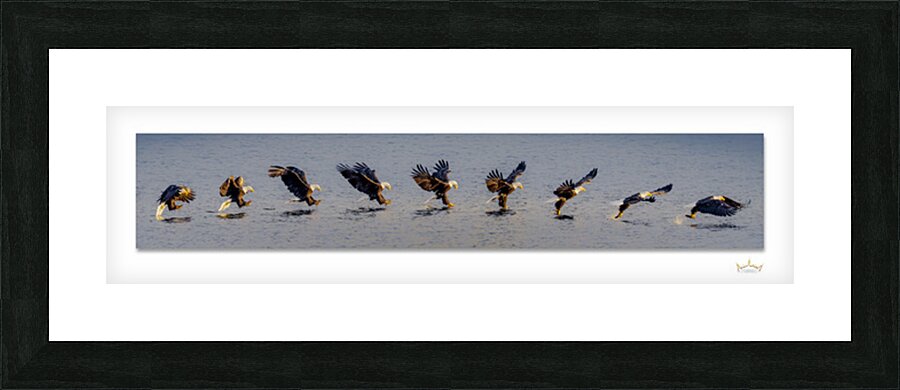 Enduring Spirit of Our Nation Picture Frame print