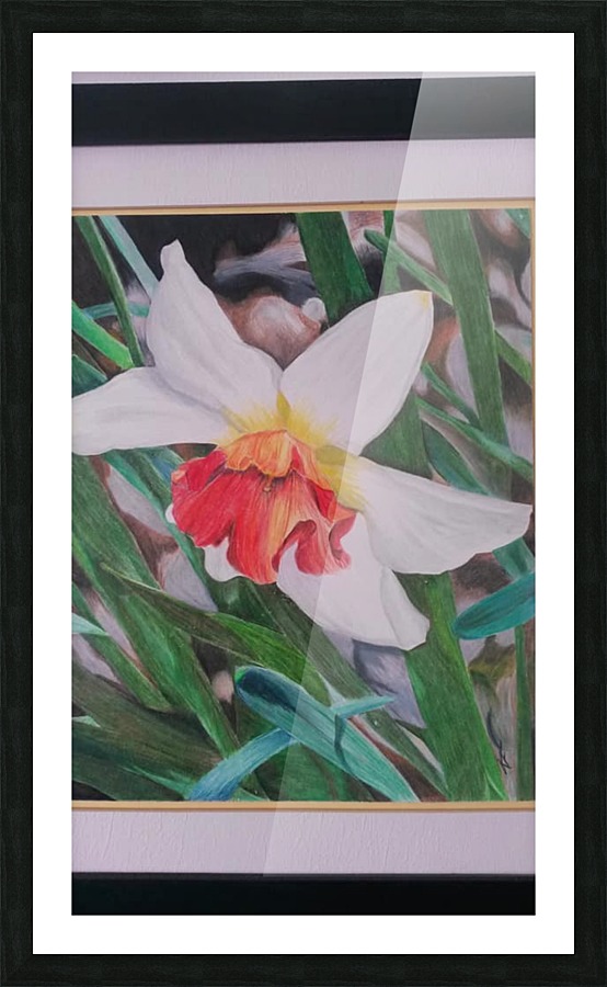 Spring floor Picture Frame print