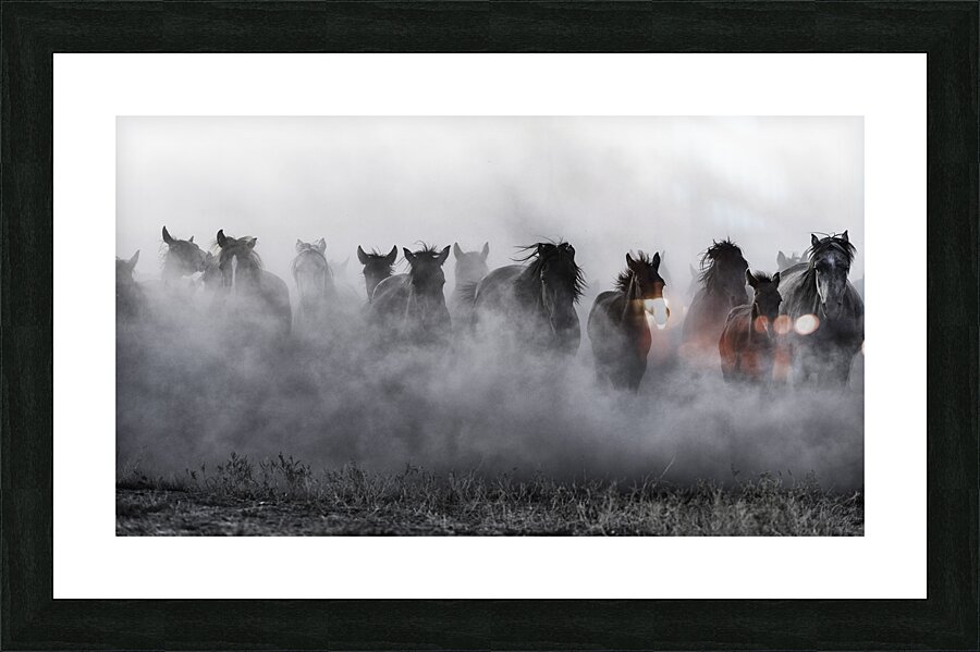 Mustangs Picture Frame print