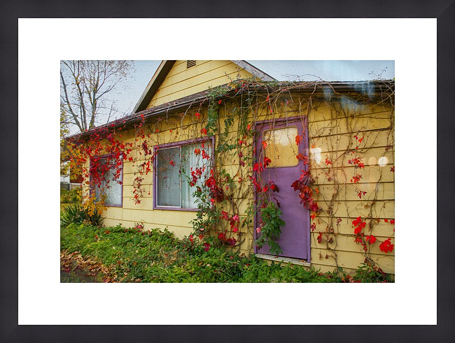 Purple Door Picture Frame print