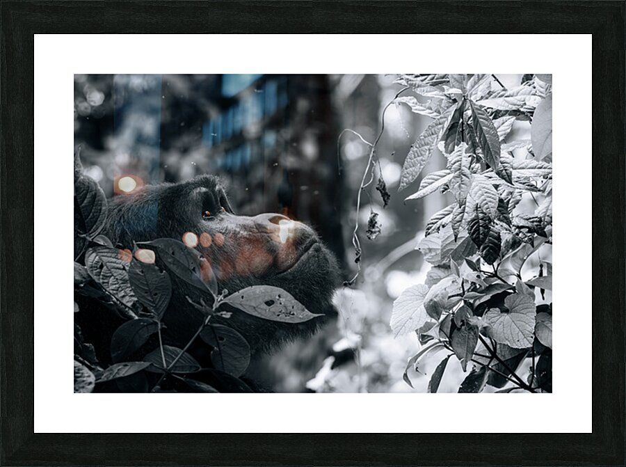 Lookin to the Sky B&W Picture Frame Printing