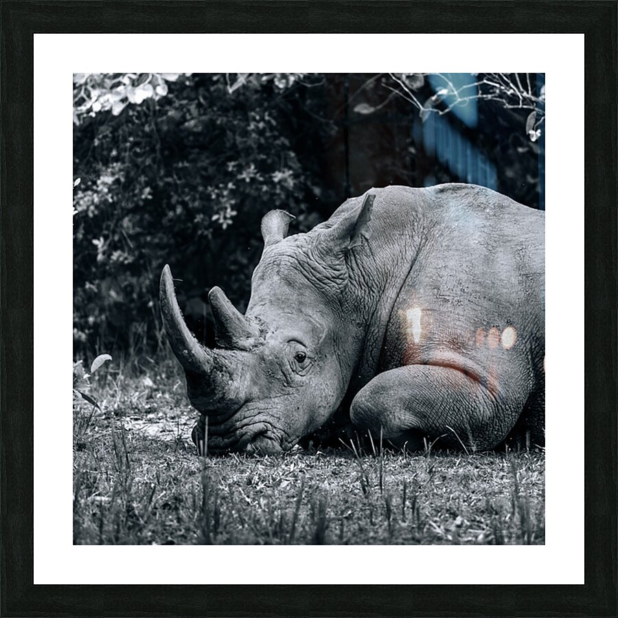 Thanks for Noticin Me Picture Frame Printing