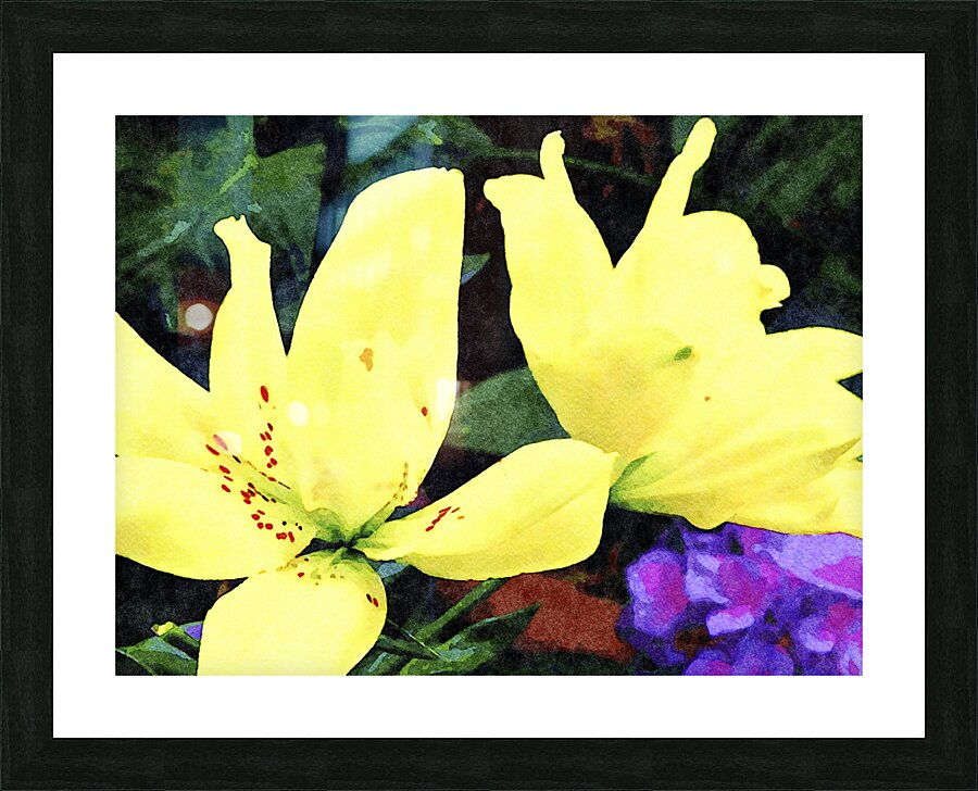 Vibrant yellow lilies in a watercolor style against greenery and yellow blooms Picture Frame print