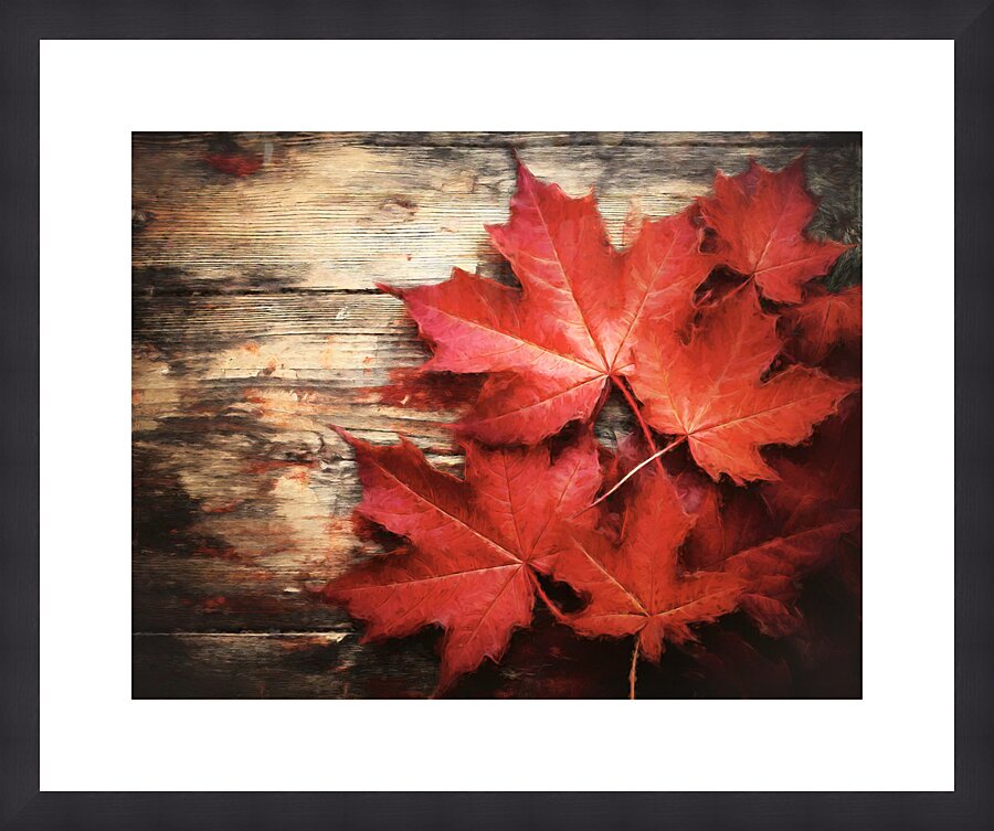 Proud to Be a Canadian Picture Frame print