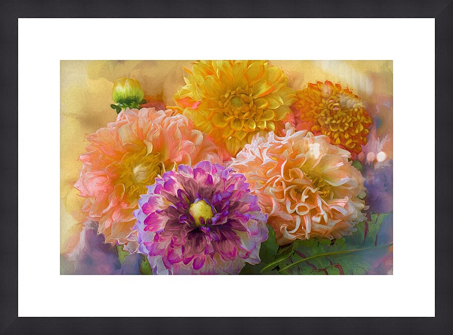 Dahlias Come in So Many Colours Picture Frame print