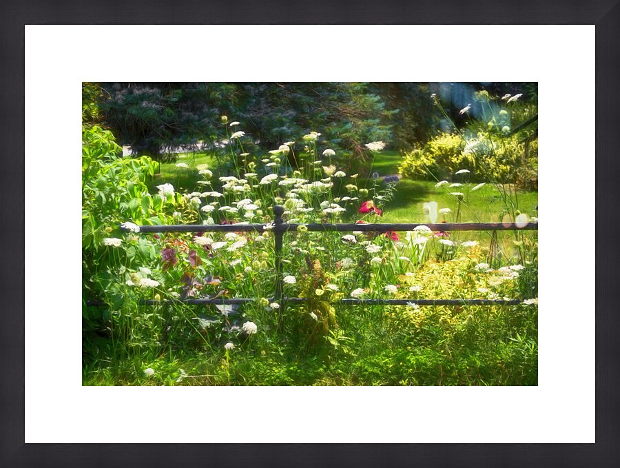 Vintage Iron Fencing Picture Frame print