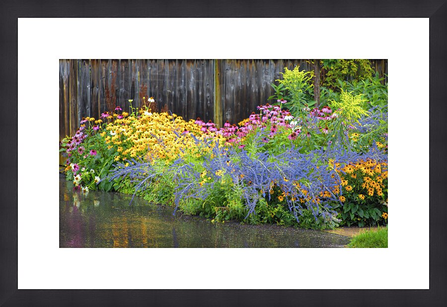 Collingwood Garden in the Rain Picture Frame print