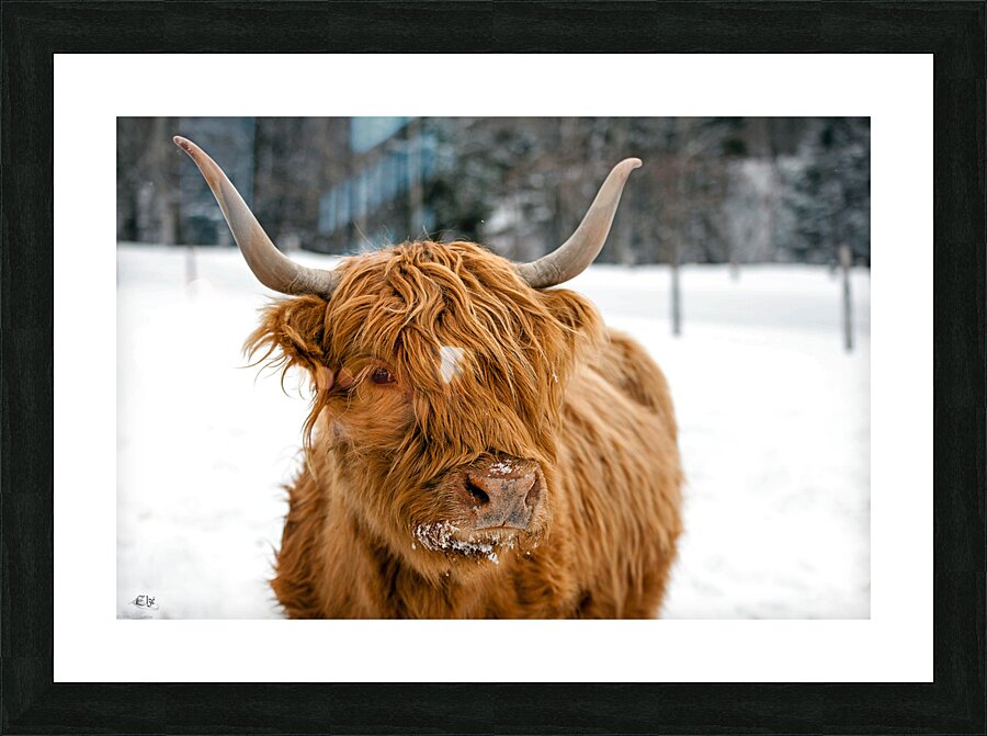 Ginette Picture Frame print