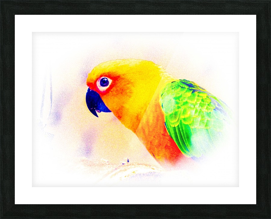  Fine Art print
