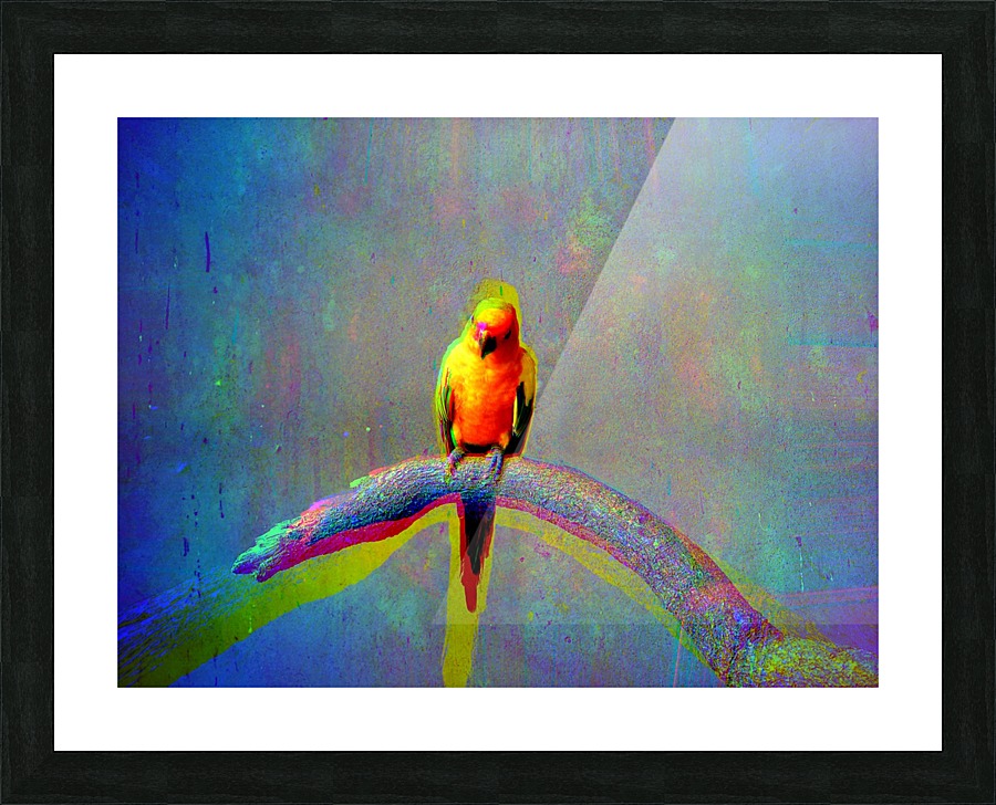  Fine Art print