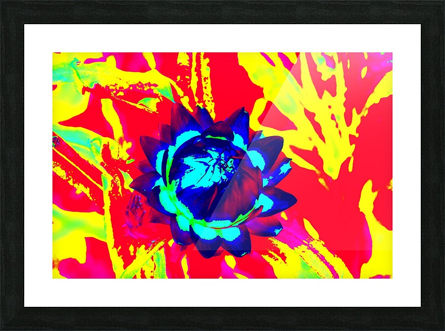  Fine Art print