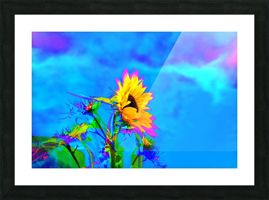  Fine Art print