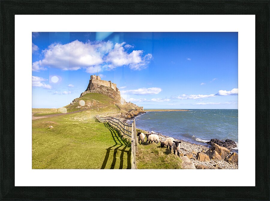 Lindisfarne Castle Holy Island Northumberland UK Picture Frame print