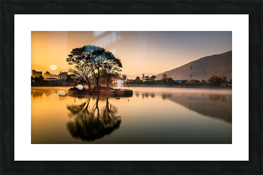 birds Picture Frame print