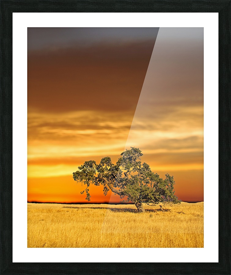 FireGold Picture Frame print