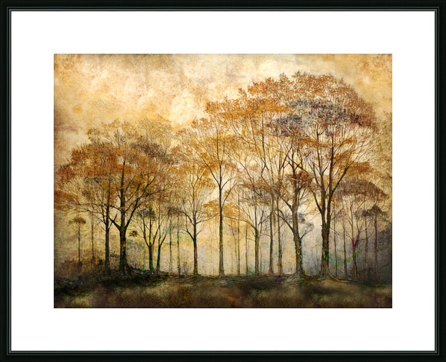 Trees in Morning Picture Frame print