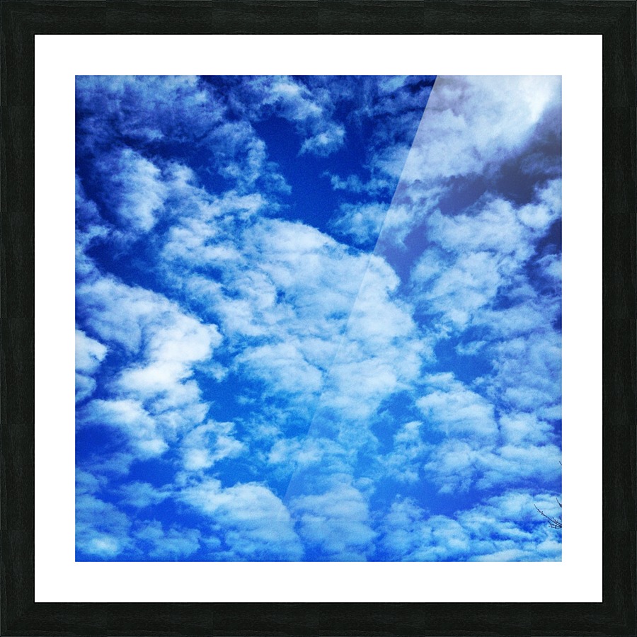 48789057208_143339dbb6_o Picture Frame print