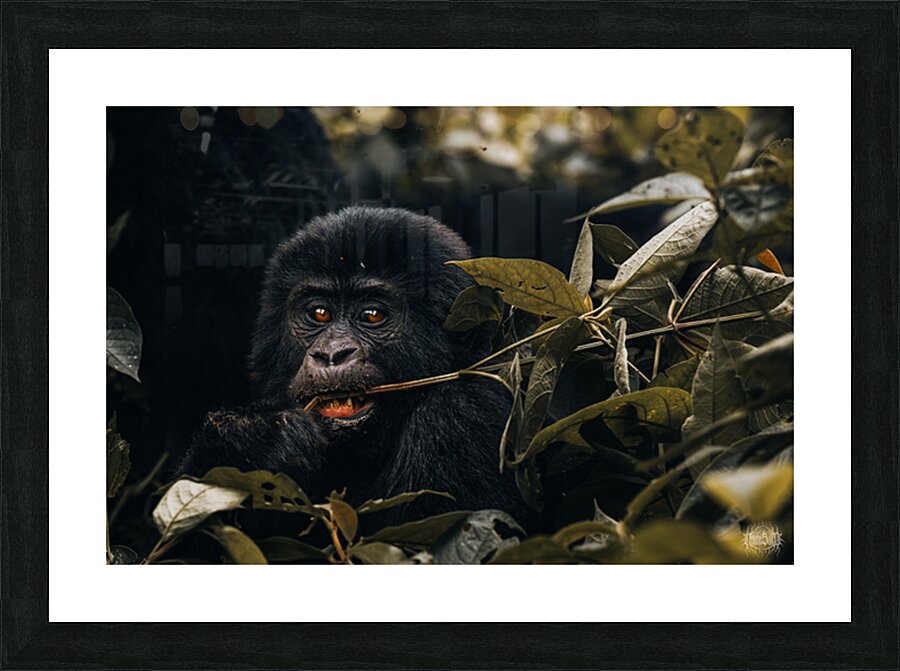 Wut Picture Frame print