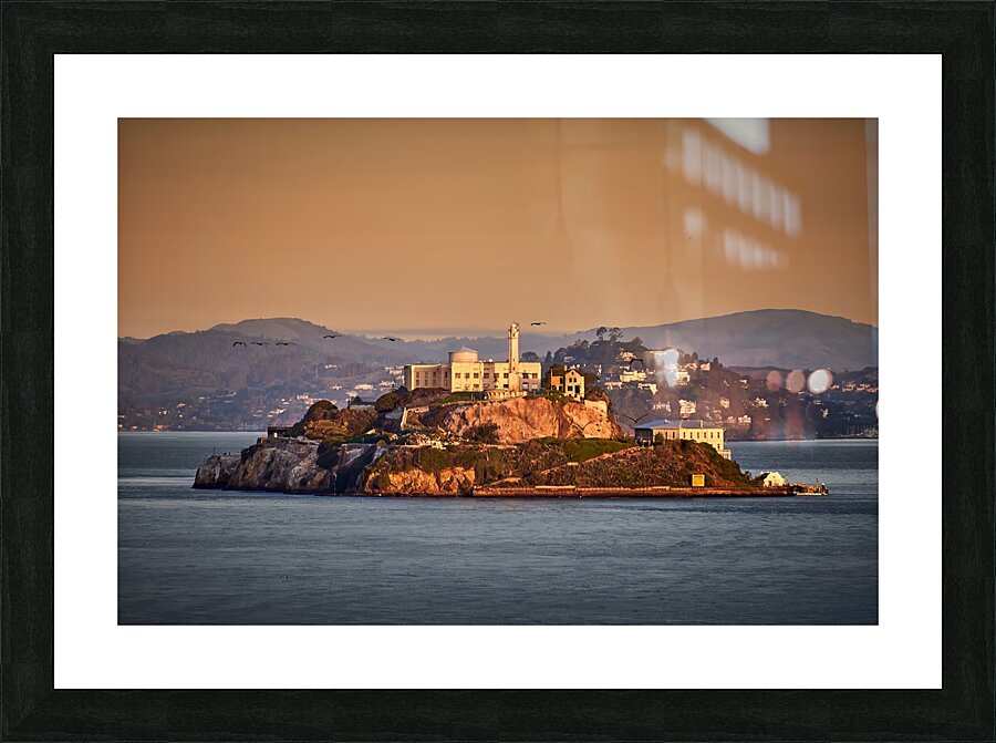 San Francisco Alcatraz Sunrise Birds Picture Frame print